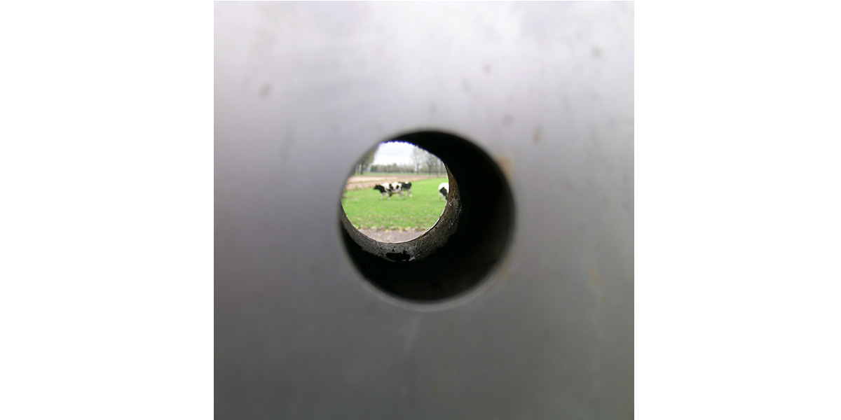 viewpoint focus